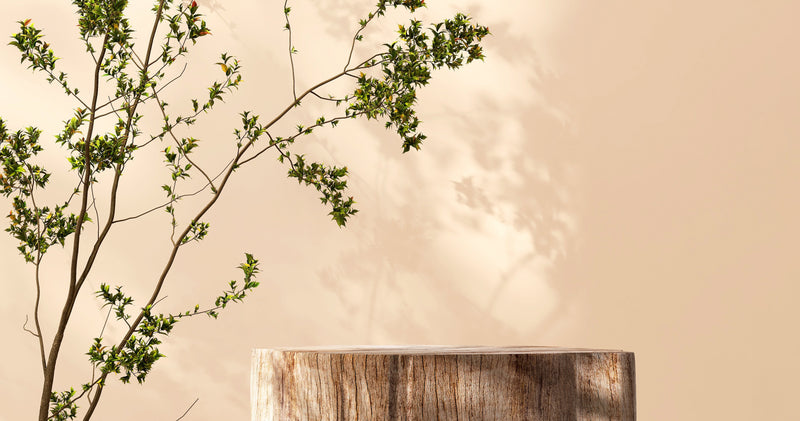 green leaves and sunshine