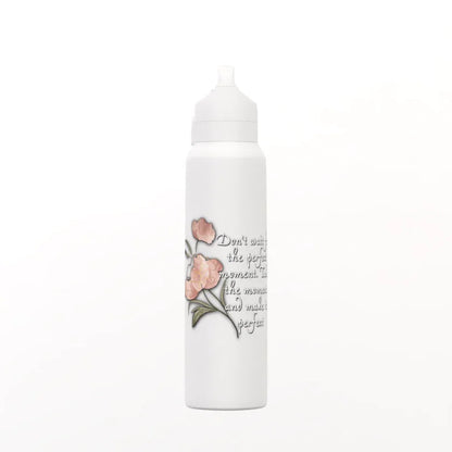 Perfect Moment Inspirational Insulated Bottle - Affirmations and Gratitudes 