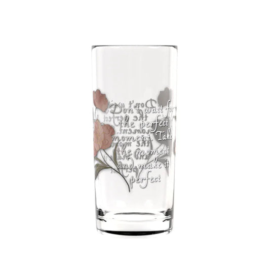 Perfect Moment Highball Glass - Affirmations and Gratitudes 